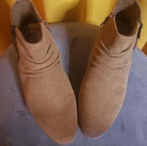 Earth Origins Collette Callista